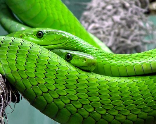 Jak przechowywać ramki z węzą?