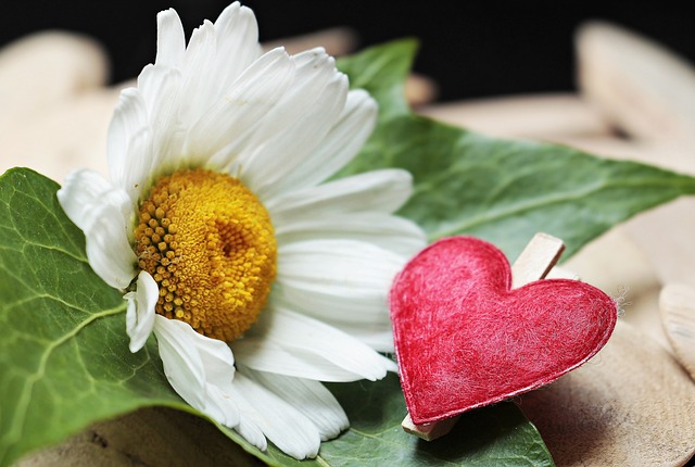 Czy można wymienić jeden zacisk hamulcowy? Czy można wymienić jeden zacisk hamulcowy?