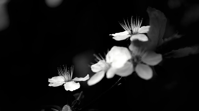 Ile kosztuje NX? Ile kosztuje NX?