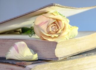 Czy warto kupić używaną Hondę CRV?