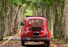 Ile płynu do wspomagania Fiat Ducato?