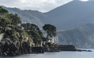 Ile kosztuje wymiana cylinderka hamulcowego?