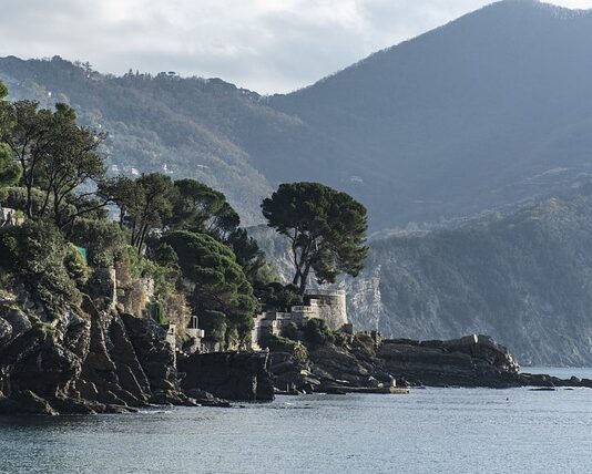 Ile kosztuje wymiana cylindra w skuterze?