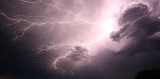 Ile za punkt elektryczny w 2023 roku?
