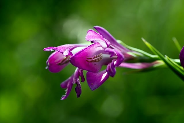 Czym najtaniej ogrodzić działkę rekreacyjną? Czym najtaniej ogrodzić działkę rekreacyjną?