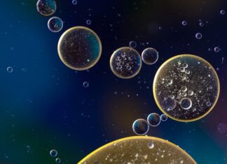 Ile oleju toyota corolla verso?