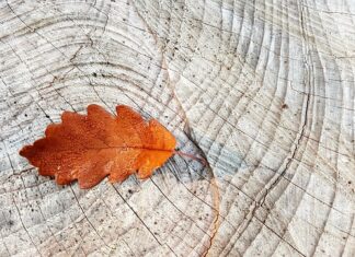 Czy potrzebne są pierścienie centrujące?