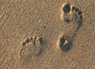 Czym różni się UX od UI?